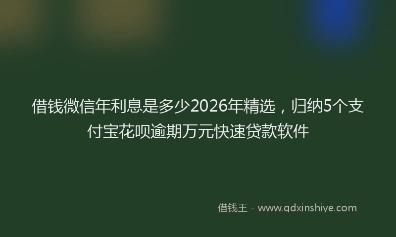 借钱微信年利息是多少2026年精选，归纳5个支付宝花呗逾期万元快速贷款软件