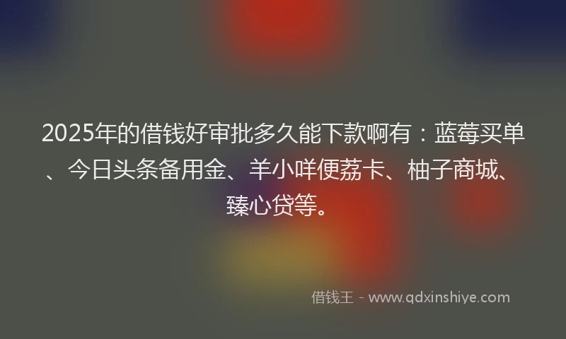 2025年的借钱好审批多久能下款啊有：蓝莓买单、今日头条备用金、羊小咩便荔卡、柚子商城、臻心贷等。