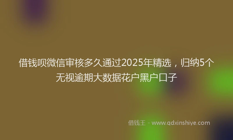 借钱呗微信审核多久通过2025年精选，归纳5个无视逾期大数据花户黑户口子