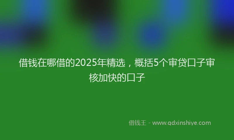 借钱在哪借的2025年精选，概括5个审贷口子审核加快的口子