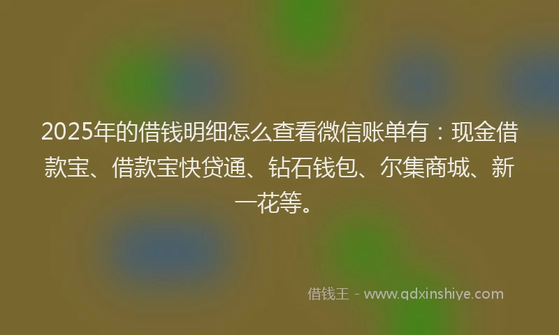 2025年的借钱明细怎么查看微信账单有：现金借款宝、借款宝快贷通、钻石钱包、尔集商城、新一花等。