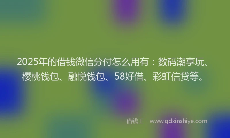 2025年的借钱微信分付怎么用有:数码潮享玩、樱桃钱包、融悦钱包、58好借、彩虹信贷等。