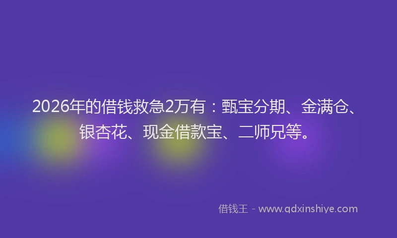 2026年的借钱救急2万有：甄宝分期、金满仓、银杏花、现金借款宝、二师兄等。