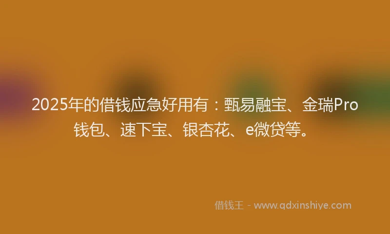 2025年的借钱应急好用有：甄易融宝、金瑞Pro钱包、速下宝、银杏花、e微贷等。