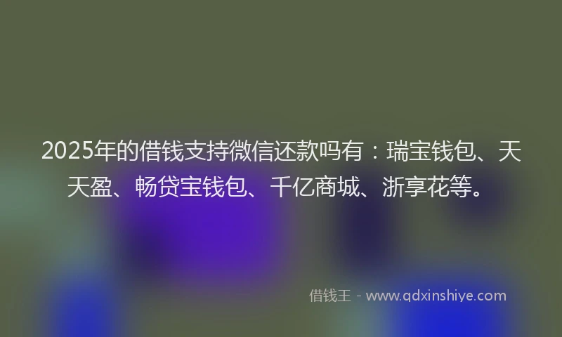 2025年的借钱支持微信还款吗有:瑞宝钱包、天天盈、畅贷宝钱包、千亿商城、浙享花等。