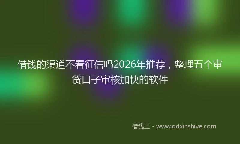 借钱的渠道不看征信吗2026年推荐，整理五个审贷口子审核加快的软件