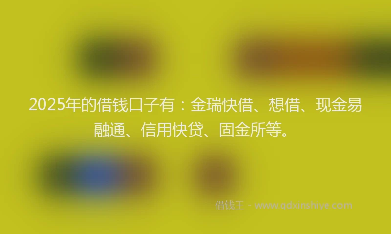 2025年的借钱口子有:金瑞快借、想借、现金易融通、信用快贷、固金所等。