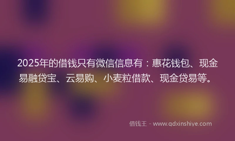 2025年的借钱只有微信信息有：惠花钱包、现金易融贷宝、云易购、小麦粒借款、现金贷易等。
