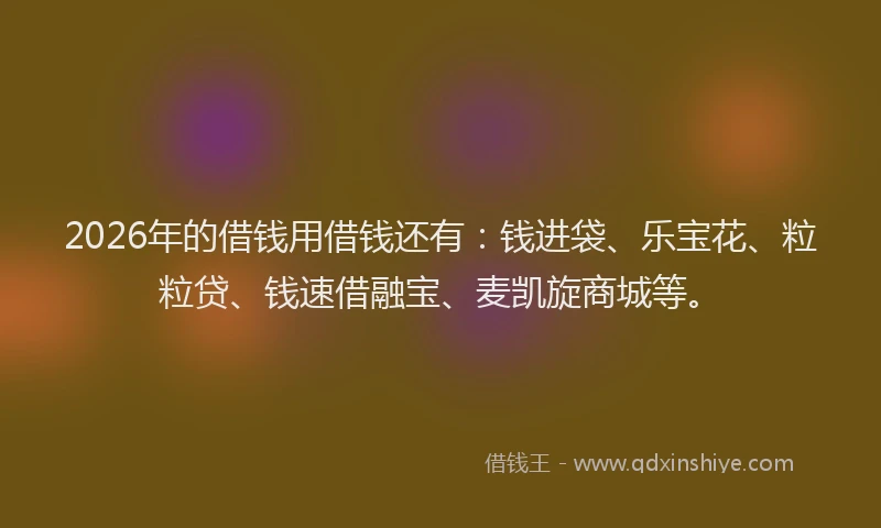 2026年的借钱用借钱还有:钱进袋、乐宝花、粒粒贷、钱速借融宝、麦凯旋商城等。
