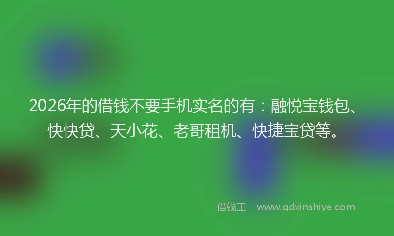 2026年的借钱不要手机实名的有：融悦宝钱包、快快贷、天小花、老哥租机、快捷宝贷等。