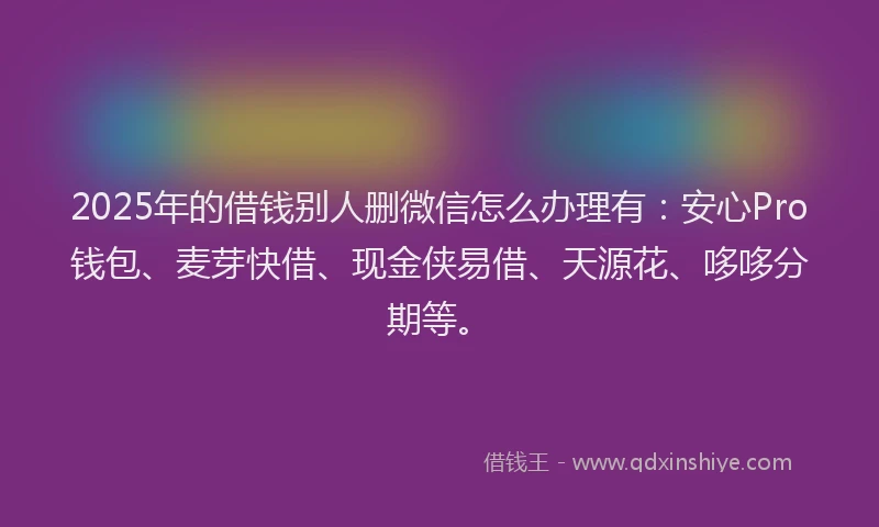 2025年的借钱别人删微信怎么办理有：安心Pro钱包、麦芽快借、现金侠易借、天源花、哆哆分期等。