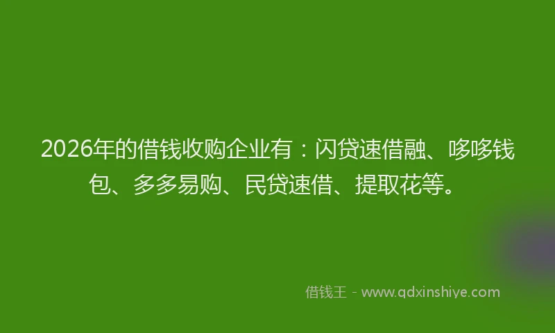 2026年的借钱收购企业有：闪贷速借融、哆哆钱包、多多易购、民贷速借、提取花等。