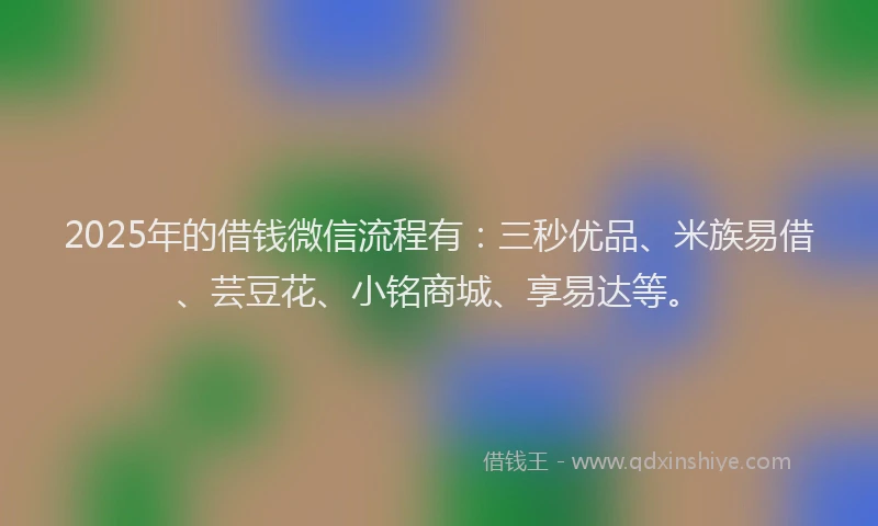 2025年的借钱微信流程有：三秒优品、米族易借、芸豆花、小铭商城、享易达等。