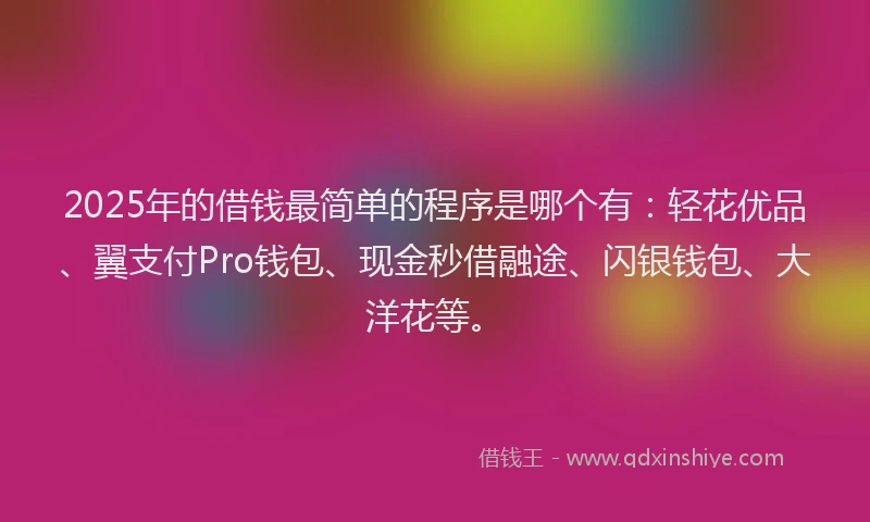 2025年的借钱最简单的程序是哪个有：轻花优品、翼支付Pro钱包、现金秒借融途、闪银钱包、大洋花等。