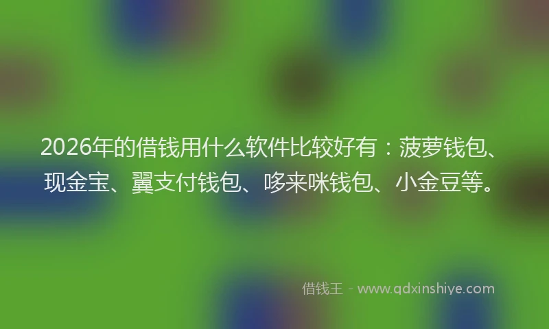 2026年的借钱用什么软件比较好有：菠萝钱包、现金宝、翼支付钱包、哆来咪钱包、小金豆等。