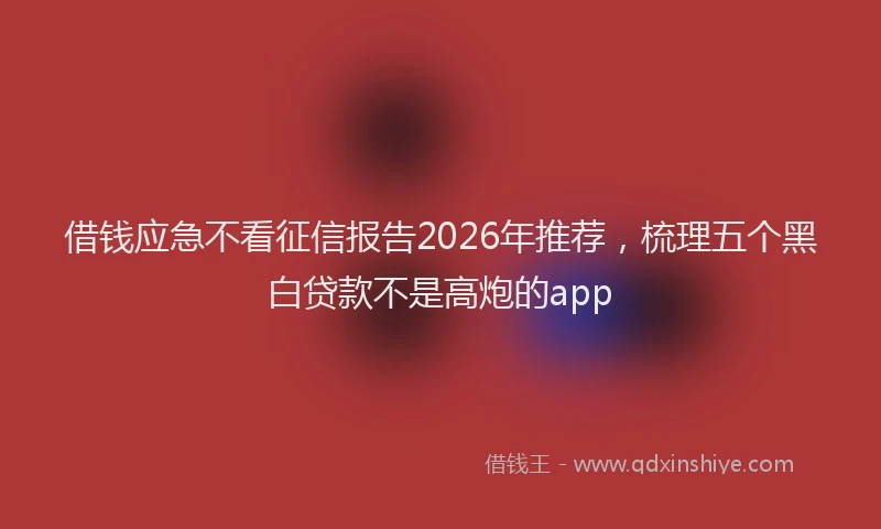 借钱应急不看征信报告2026年推荐,梳理五个黑白贷款不是高炮的app