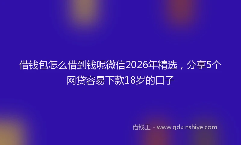借钱包怎么借到钱呢微信2026年精选,分享5个网贷容易下款18岁的口子