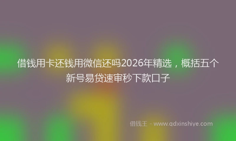 借钱用卡还钱用微信还吗2026年精选，概括五个新号易贷速审秒下款口子