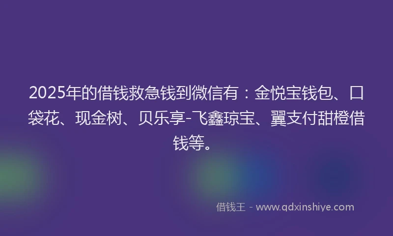 2025年的借钱救急钱到微信有：金悦宝钱包、口袋花、现金树、贝乐享-飞鑫琼宝、翼支付甜橙借钱等。