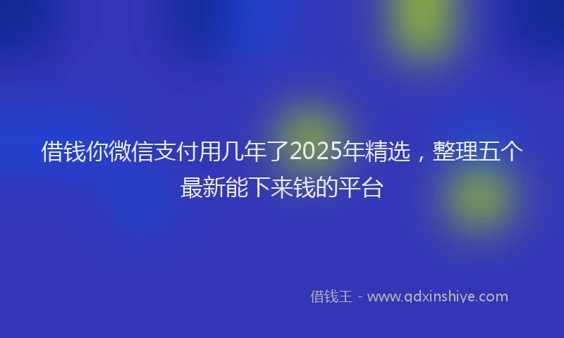 借钱你微信支付用几年了2025年精选，整理五个最新能下来钱的平台