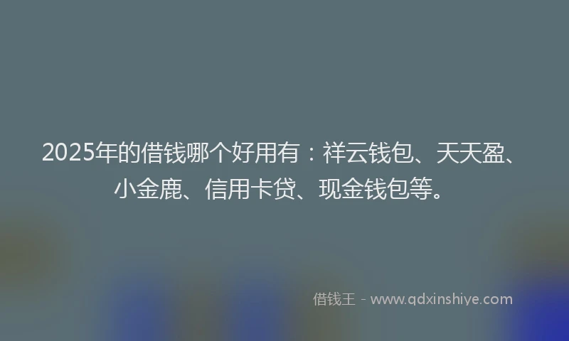 2025年的借钱哪个好用有:祥云钱包、天天盈、小金鹿、信用卡贷、现金钱包等。