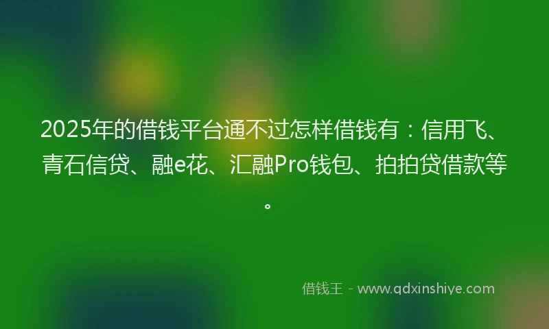 2025年的借钱平台通不过怎样借钱有：信用飞、青石信贷、融e花、汇融Pro钱包、拍拍贷借款等。