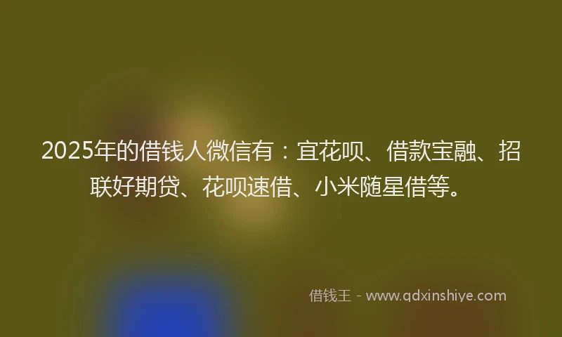 2025年的借钱人微信有:宜花呗、借款宝融、招联好期贷、花呗速借、小米随星借等。