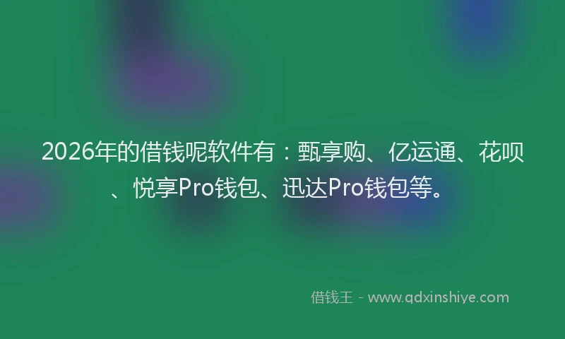 2026年的借钱呢软件有:甄享购、亿运通、花呗、悦享Pro钱包、迅达Pro钱包等。