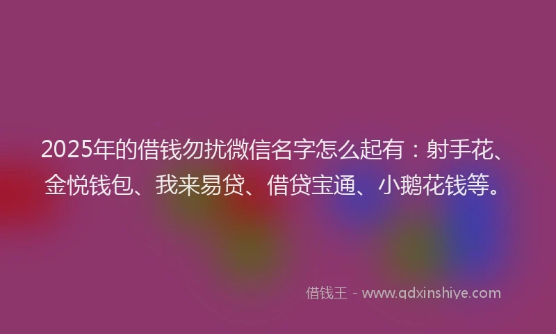 2025年的借钱勿扰微信名字怎么起有：射手花、金悦钱包、我来易贷、借贷宝通、小鹅花钱等。