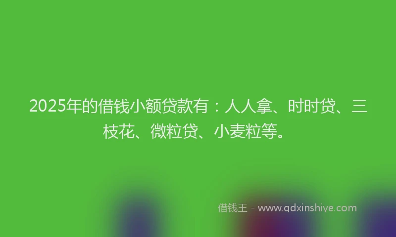 2025年的借钱小额贷款有：人人拿、时时贷、三枝花、微粒贷、小麦粒等。