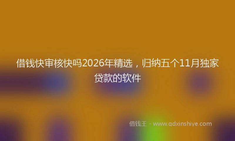 借钱快审核快吗2026年精选，归纳五个11月独家贷款的软件
