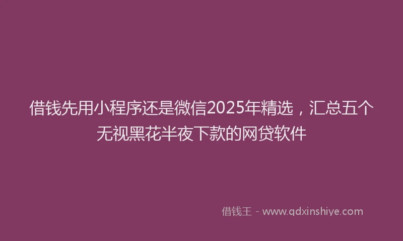 借钱先用小程序还是微信2025年精选，汇总五个无视黑花半夜下款的网贷软件
