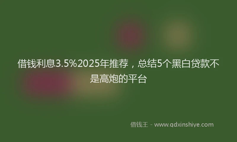 借钱利息3.5%2025年推荐，总结5个黑白贷款不是高炮的平台