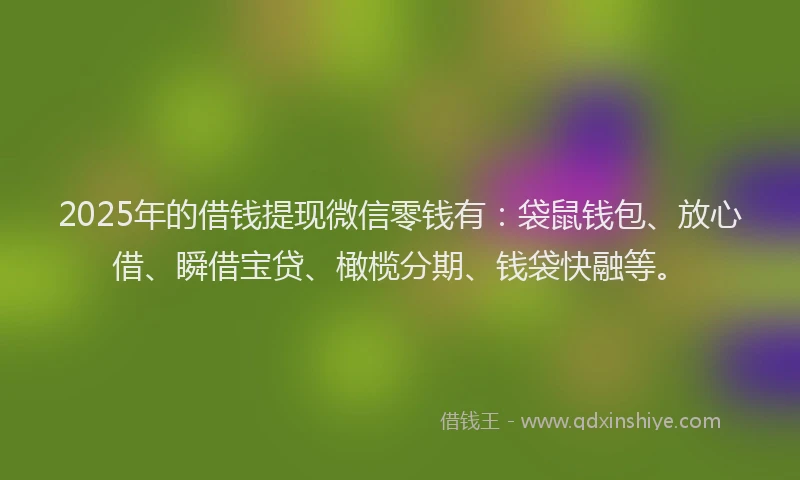 2025年的借钱提现微信零钱有：袋鼠钱包、放心借、瞬借宝贷、橄榄分期、钱袋快融等。