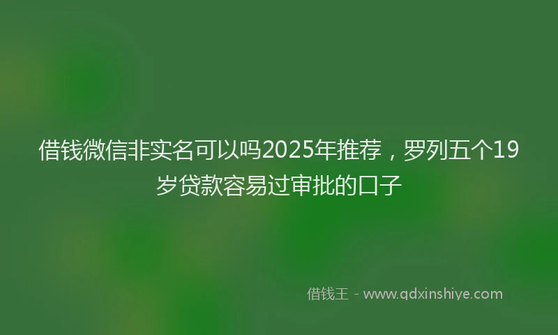 借钱微信非实名可以吗2025年推荐,罗列五个19岁贷款容易过审批的口子