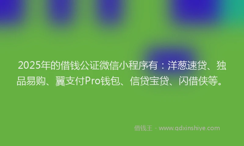 2025年的借钱公证微信小程序有：洋葱速贷、独品易购、翼支付Pro钱包、信贷宝贷、闪借侠等。