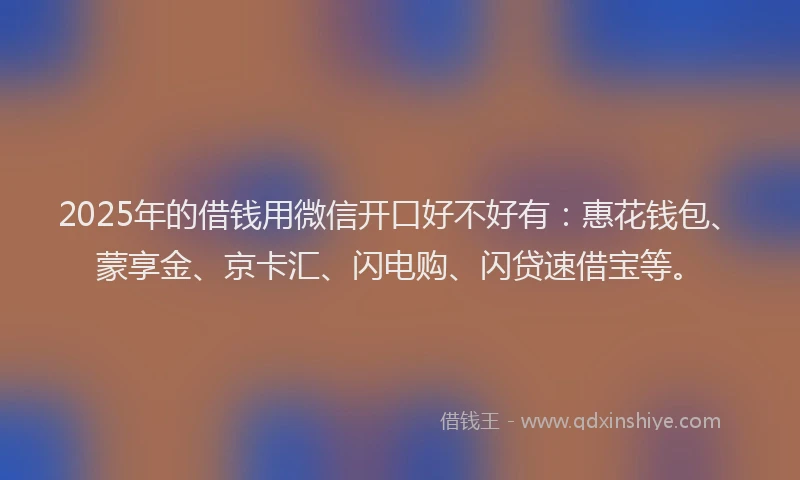 2025年的借钱用微信开口好不好有：惠花钱包、蒙享金、京卡汇、闪电购、闪贷速借宝等。