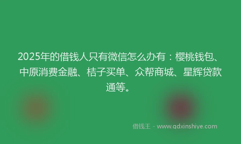 2025年的借钱人只有微信怎么办有:樱桃钱包、中原消费金融、桔子买单、众帮商城、星辉贷款通等。