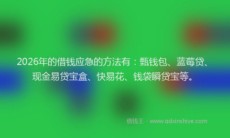 2026年的借钱应急的方法有：甄钱包、蓝莓贷、现金易贷宝盒、快易花、钱袋瞬贷宝等。