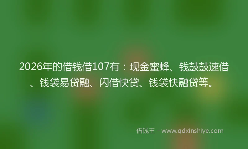 2026年的借钱借107有：现金蜜蜂、钱鼓鼓速借、钱袋易贷融、闪借快贷、钱袋快融贷等。