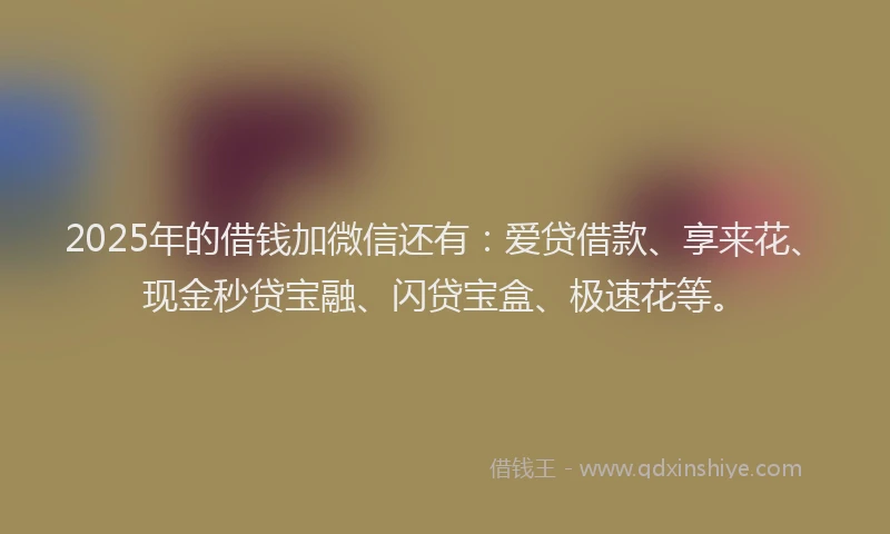2025年的借钱加微信还有:爱贷借款、享来花、现金秒贷宝融、闪贷宝盒、极速花等。