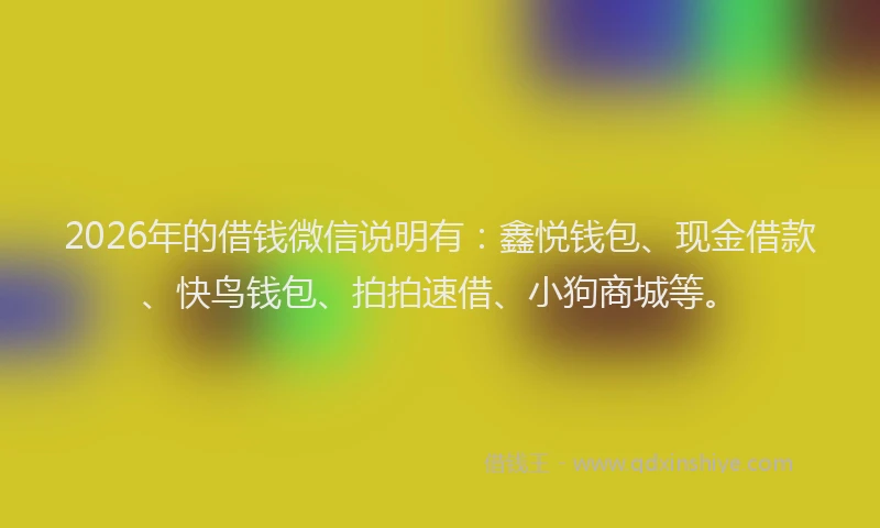 2026年的借钱微信说明有：鑫悦钱包、现金借款、快鸟钱包、拍拍速借、小狗商城等。