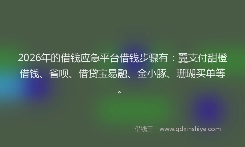 2026年的借钱应急平台借钱步骤有：翼支付甜橙借钱、省呗、借贷宝易融、金小豚、珊瑚买单等。