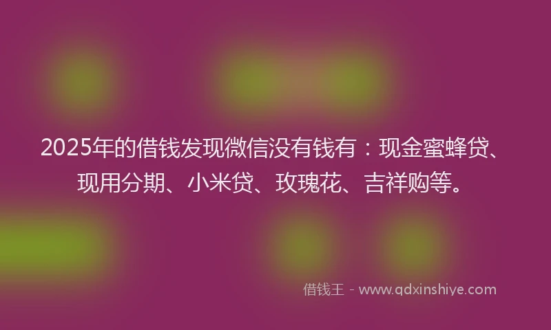 2025年的借钱发现微信没有钱有:现金蜜蜂贷、现用分期、小米贷、玫瑰花、吉祥购等。