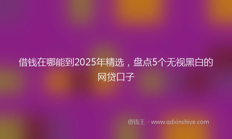 借钱在哪能到2025年精选，盘点5个无视黑白的网贷口子