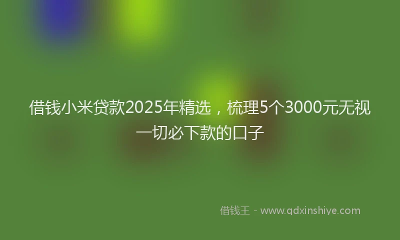 借钱小米贷款2025年精选,梳理5个3000元无视一切必下款的口子