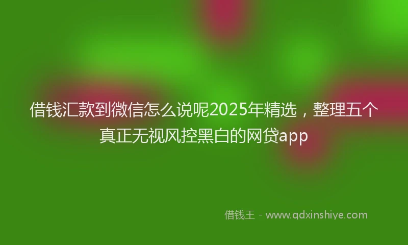 借钱汇款到微信怎么说呢2025年精选，整理五个真正无视风控黑白的网贷app