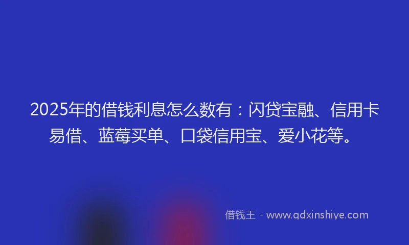 2025年的借钱利息怎么数有：闪贷宝融、信用卡易借、蓝莓买单、口袋信用宝、爱小花等。