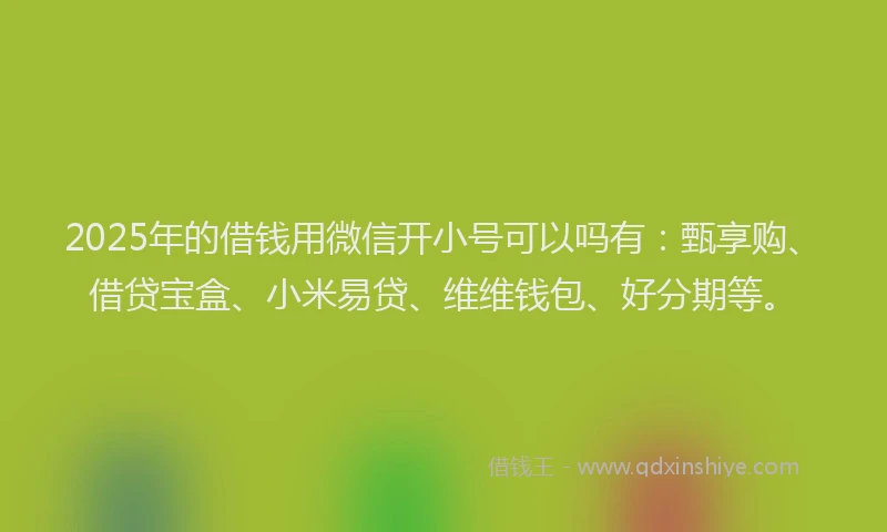 2025年的借钱用微信开小号可以吗有：甄享购、借贷宝盒、小米易贷、维维钱包、好分期等。