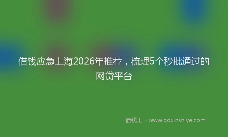 借钱应急上海2026年推荐，梳理5个秒批通过的网贷平台